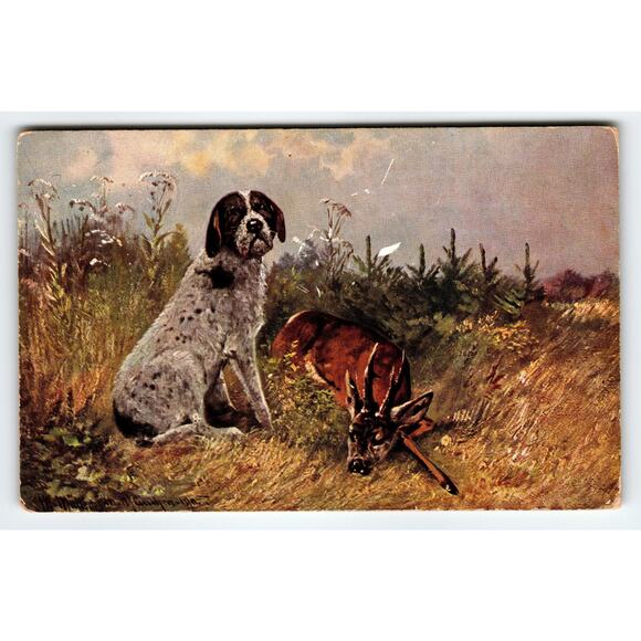 Signed Muller Artist Card Dog and Deer Hunting Scene Vintage Postcard - Picture 1 of 2